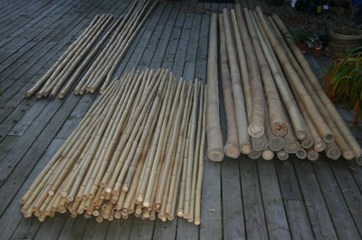 ryoanji-gaki - bamboo poles