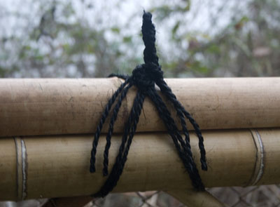click to enlarge ryoanji-gaki - kazari-musubi knot