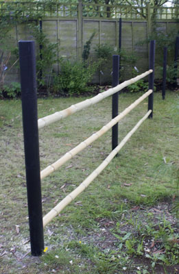 click to enlarge yotsume-gaki - dobuchi fitted