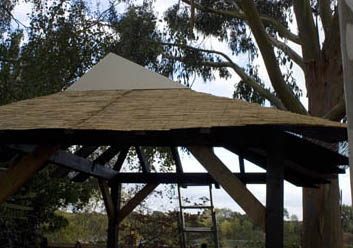 reed screen laid and gable end in place - side view