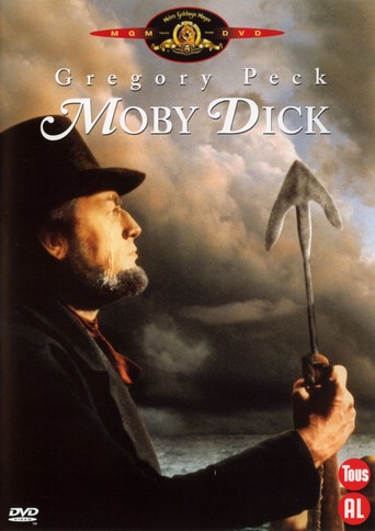 film poster