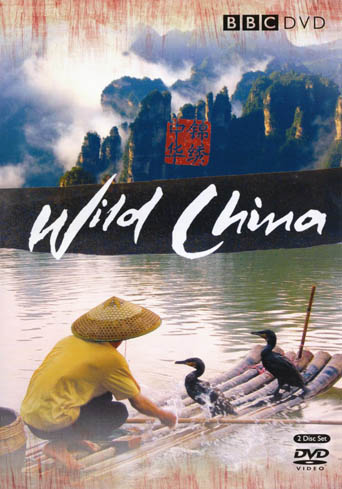 film poster