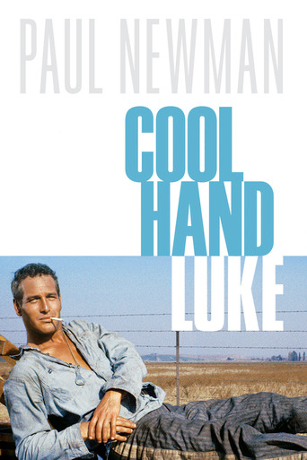 film poster